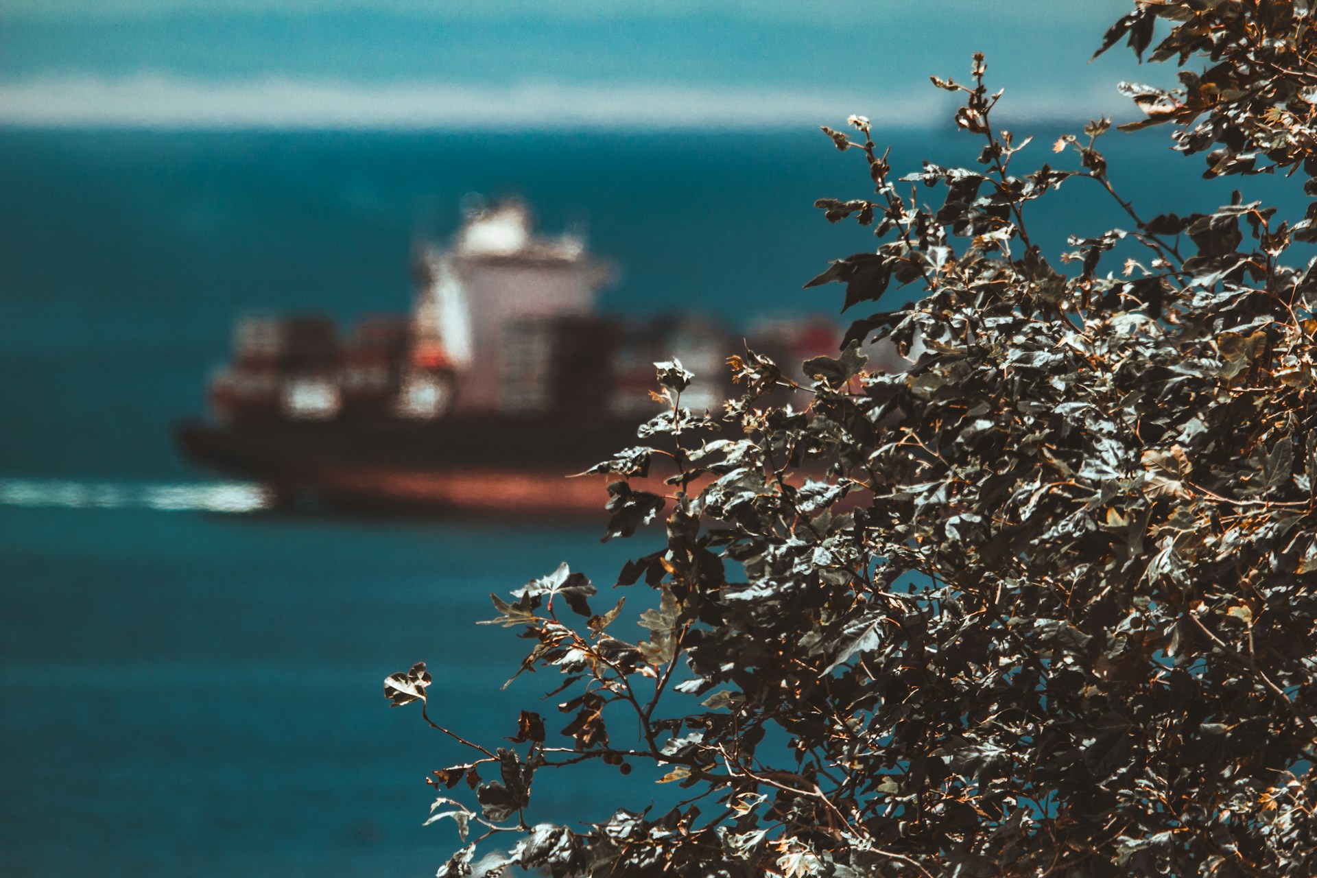Freight ship arriving in South Africa